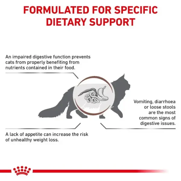 Royal Canin Veterinary Diet Gastrointestinal Cat Food - Dry (2kg , 4kg) - Image 5