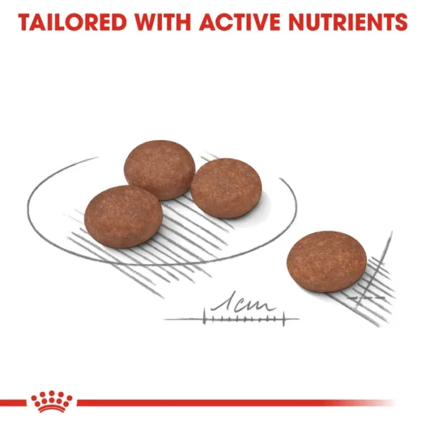 Royal Canin Mini Digestive Care Adult Dry Dog Food 3kg , 8kg - Image 4