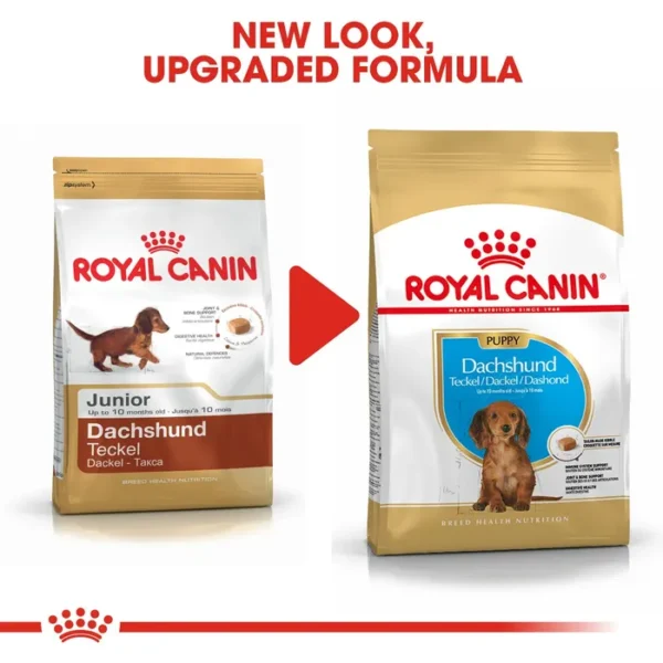 Royal Canin Dachshund Puppy Dry Food 1.5kg - Image 2