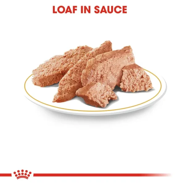 Royal Canin Chihuahua Adult Wet Dog Food (in Loaf) 12x85g , 24x85 , 48x85 - Image 2