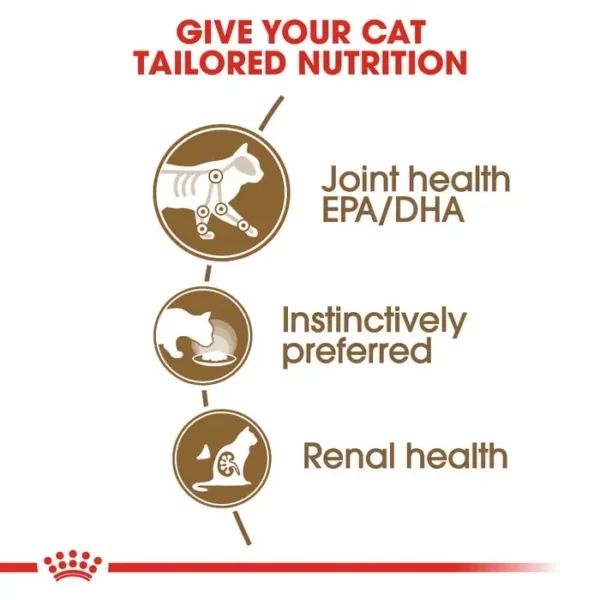 Royal Canin Ageing 12+ Wet Cat Food in Gravy 12x85g Pouches - Image 2