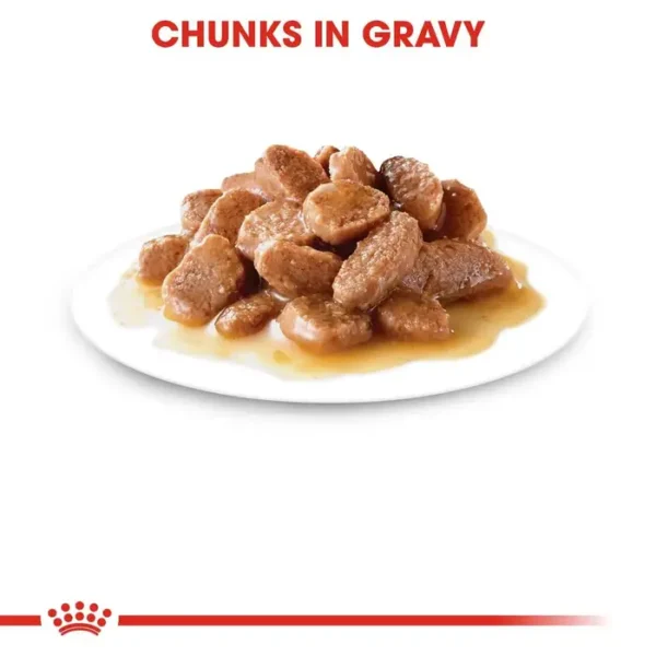 Royal Canin Sterilised Adult Wet Cat Food (in Gravy) 12x85g Pouches - Image 3