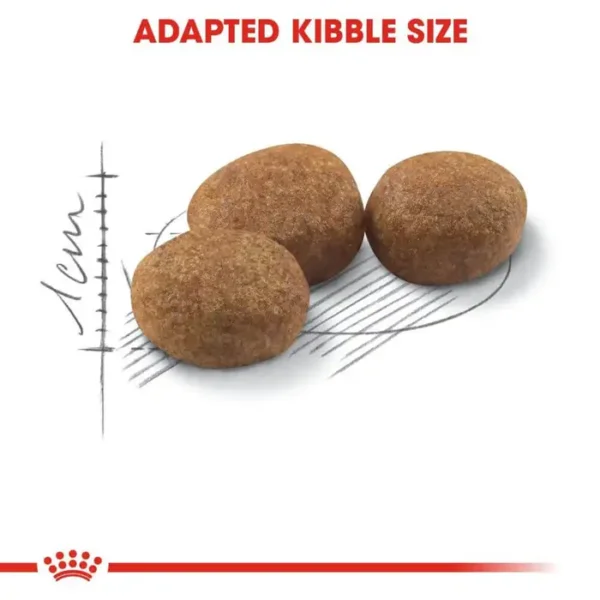 Royal Canin Sterilised 37 Adult Dry Cat Food 2kg , 4kg - Image 3