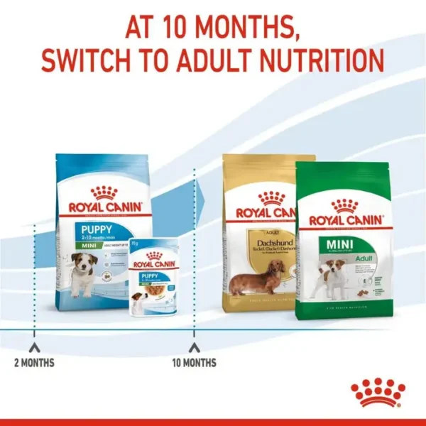 Royal Canin Mini Breed Dry Puppy Food 2kg , 4kg , 8kg - Image 3