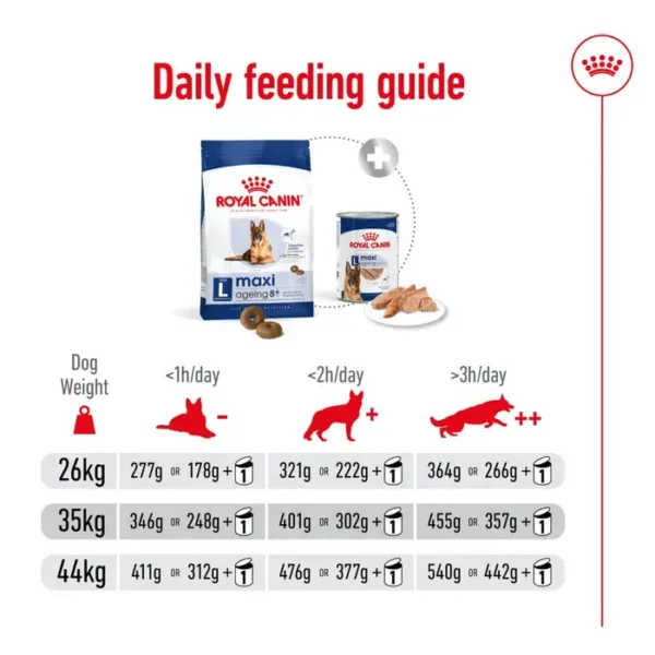 Royal Canin Maxi Ageing Large Dog Breed - Dry Dog Food 15Kg - Image 4