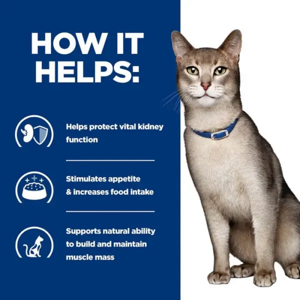 Hill's Prescription Diet k/d Kidney Care Cat Food (Chicken/Salmon/Beef) 12x85g - Image 3