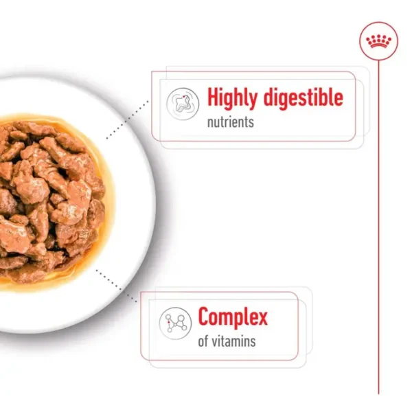 Royal Canin Mini Adult Wet Dog Food (in Gravy) 12x85g Pouches - Image 4