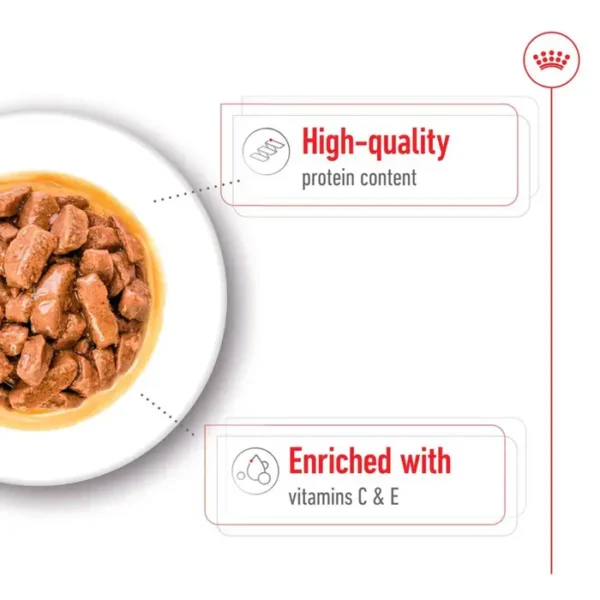 Royal Canin Medium Dog - Wet Food in Gravy 10x140g , 20,140g , 40,140g - Image 4