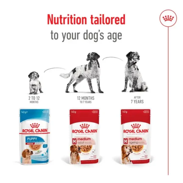 Royal Canin Medium Dog - Wet Food in Gravy 10x140g , 20,140g , 40,140g - Image 5
