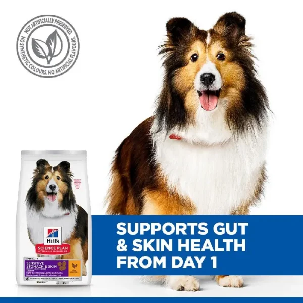 Hill's Science Plan Adult 1+ Sensitive Stomach & Skin Medium Dog Chicken 2.5kg , 14kg - Image 3