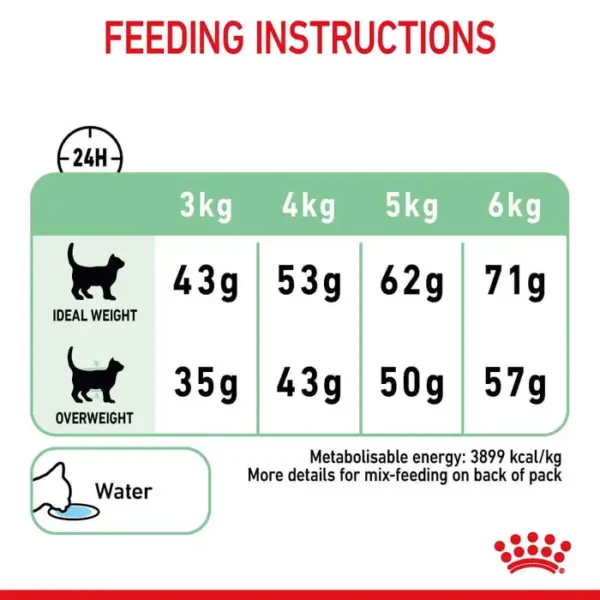 Royal Canin Digestive Care - Dry Cat Food 2kg , 4kg , 10kg - Image 4