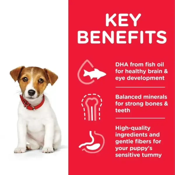 Hill's Science Plan Puppy <1 Small & Mini Breed Dry Food Chicken Flavour 1.5kg , 3kg - Image 3