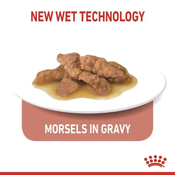 Royal Canin Indoor Sterilised Adult Wet Cat Food in Gravy 12x85g Pouches - Image 4