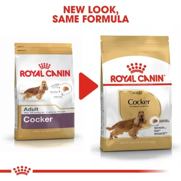 Royal Canin Adult Cocker Spaniel Dry Food 3kg , 12kg - Image 2