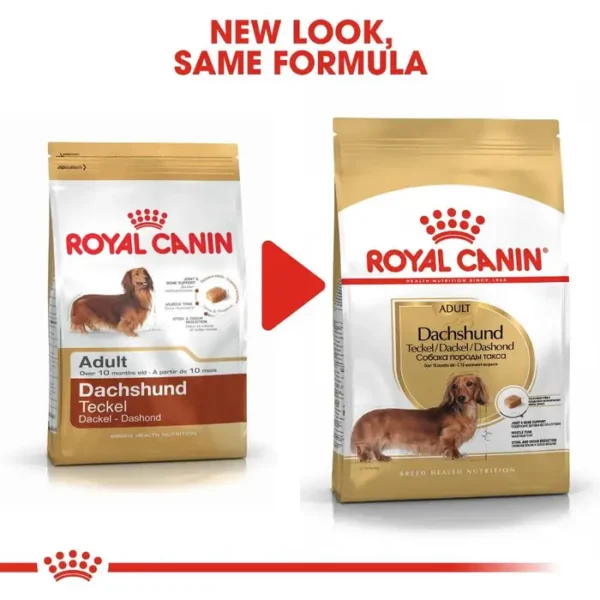 Royal Canin Adult Dachshund - Dry Dog Food 1.5kg , 7.5kg - Image 2